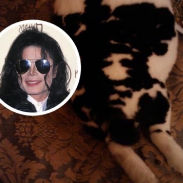 TMZ publica fotos de MJ e coelho, isso é uma pista? 1_2_full